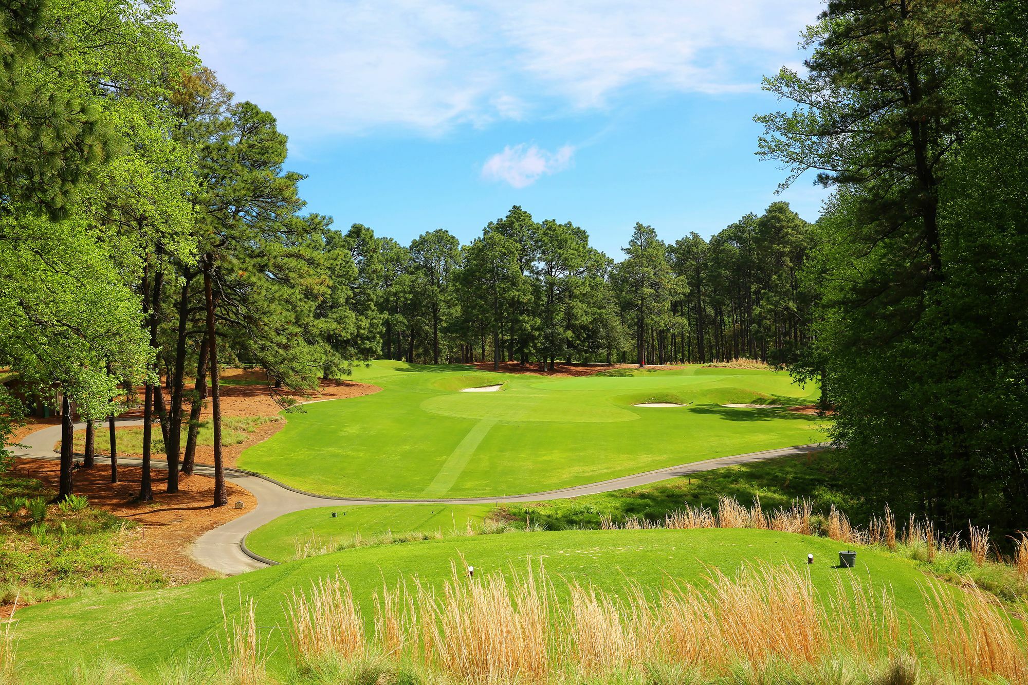 Pine Needles Lodge & Golf Club 서던파인스 외부 사진